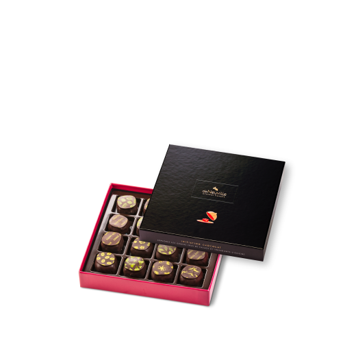 Coffret Initiation 16 chocolats noirs